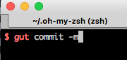 Zsh Error